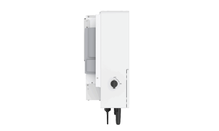 1735006077698_b474f9f6-320a-46c8-bfbd-485cfb1931f8