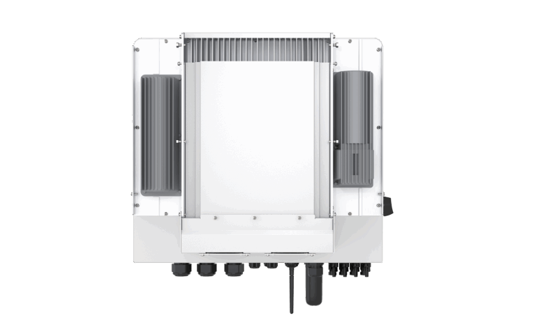 1735006101729_010544af-aff8-427d-98f1-24a5c245d360