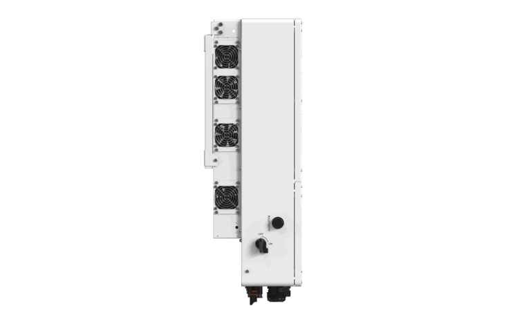 1735006235576_6d49540a-80d1-477f-969a-429ad7c069b4